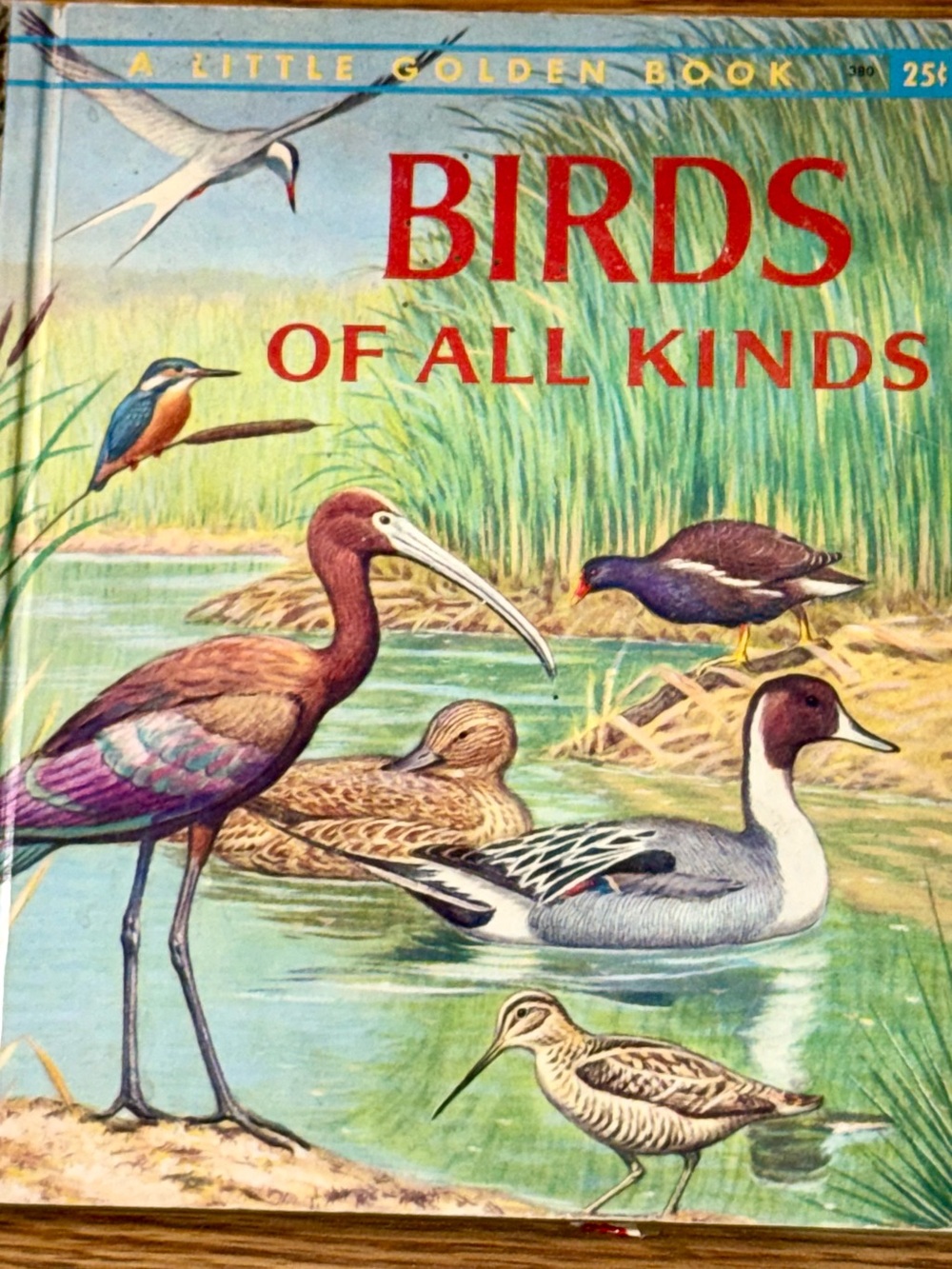 Golden Press Little Golden Book Birds of All Kinds Walter Ferguson 1959 Vintage